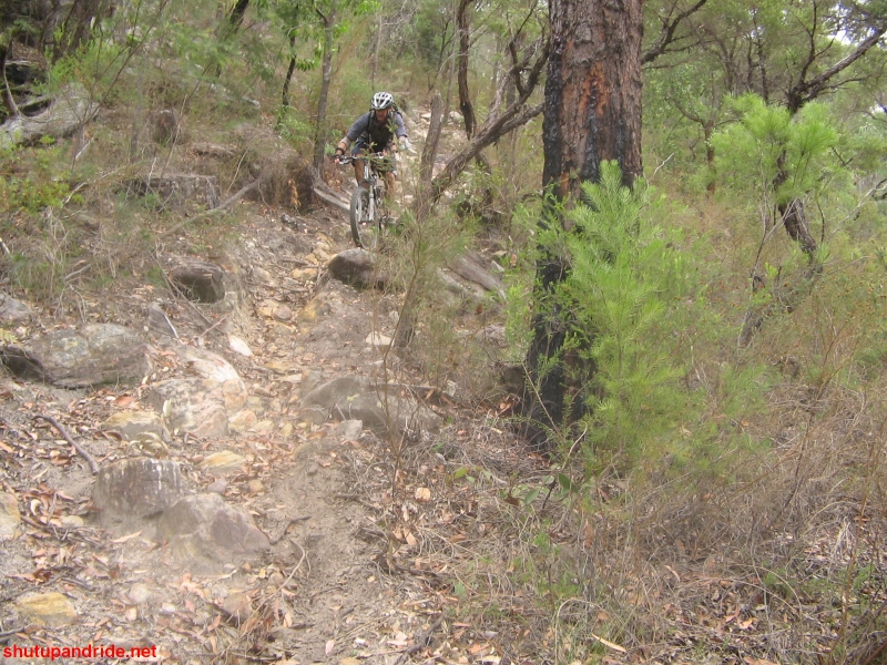 20061126-ONR-Spiders 240 